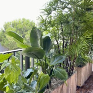 Réalisation paysagère à Bordeaux par Koara