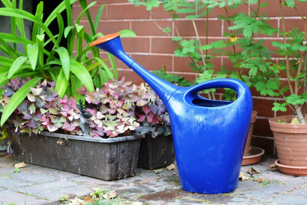 Arrosoir dans un jardin fleuri - inspiration jardinage Koara