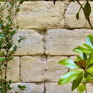Aménagement jardin de ville et échoppe bordelaise par Koara